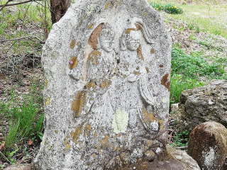 画像に含まれている可能性があるもの:木、屋外